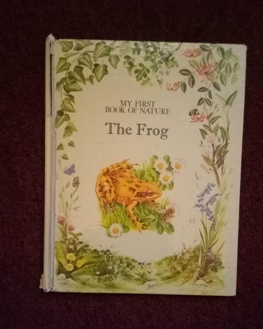 My First Book Of Nature The Frog Hardcover Children's Book